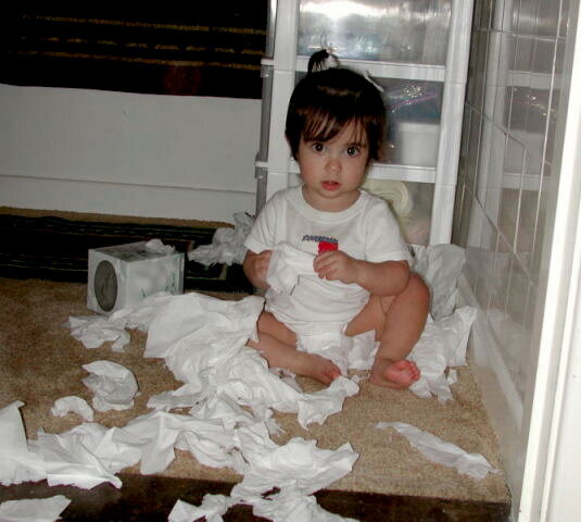 Bailey Counting Tissues