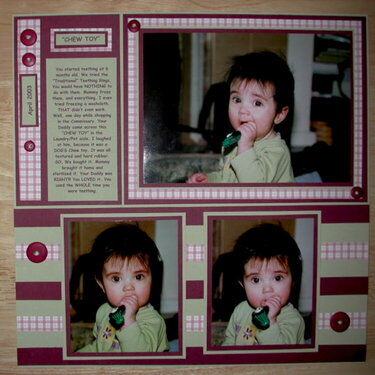 &quot;Chew Toy&quot;