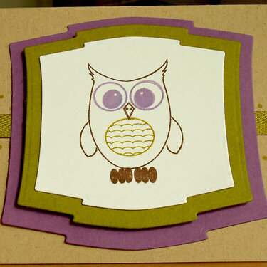 PTI Owl