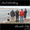 Seal Watching