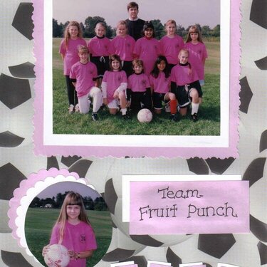 Soccer 1992, Team Fruit Punch
