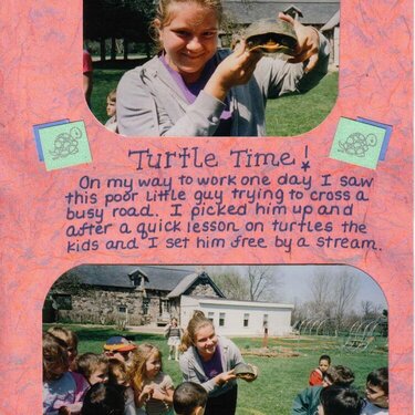 Turtle Time!