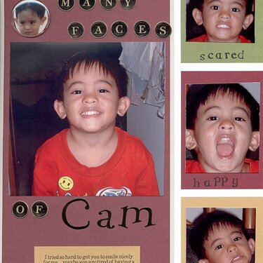 The Many Faces of Cam