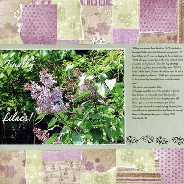 DW2007  Lilacs