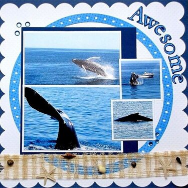 DW CG 2009 ~Whales~