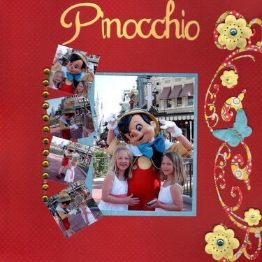 DW 2009 CG ~ Pinocchio~