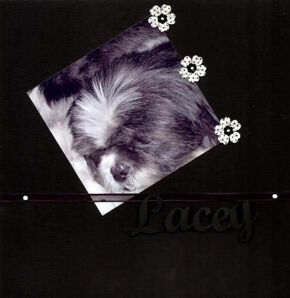 DW 2007 ~Lacey~