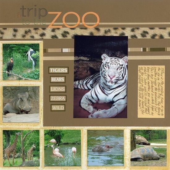 A Trip to the Zoo
