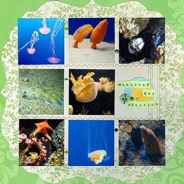*CG 2011* Monterey Bay Aquarium