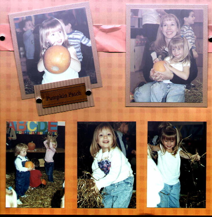 Sarah&#039;s Pumpkin Patch