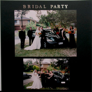 Wedding Album - Bridal Party