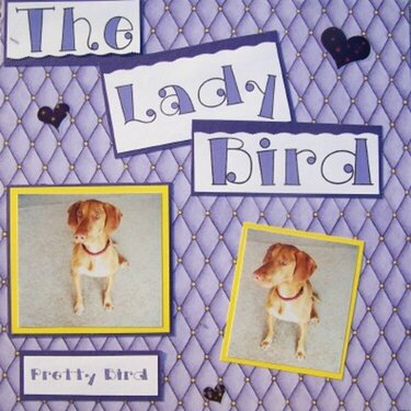 The Lady Bird (left)