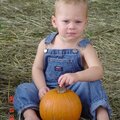 Pumpkin Patch