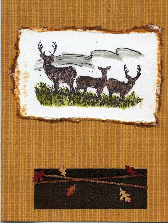 Deer Card