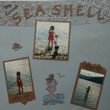 searching for shells 1