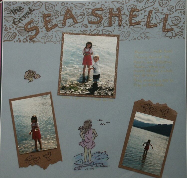 searching for shells 1