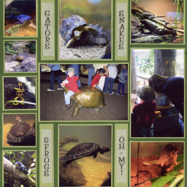 Gators, Snakes &amp; Frogs - OH MY!