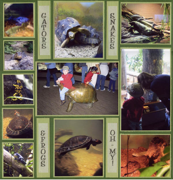 Gators, Snakes &amp; Frogs - OH MY!