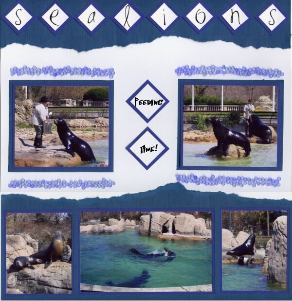 Sealions