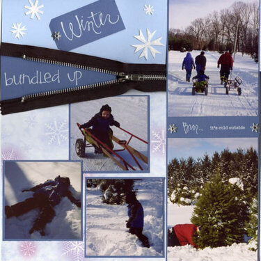 Winter/Christmas Tree Adventure