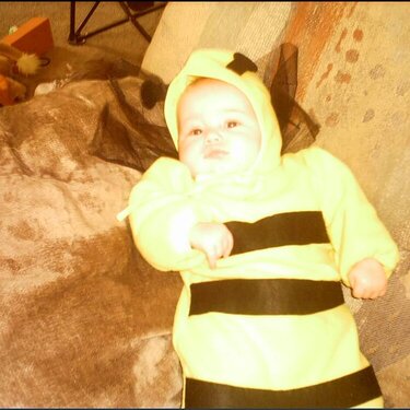 Honey Bee!!