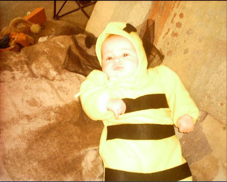Honey Bee!!
