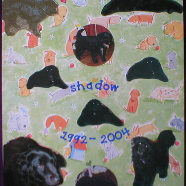 Shadow (3)