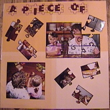 A pice of the Puzzle (left)