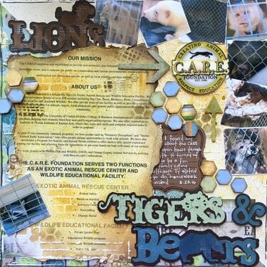 Lions, tigers and bears