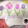 Hailey Marie Hill