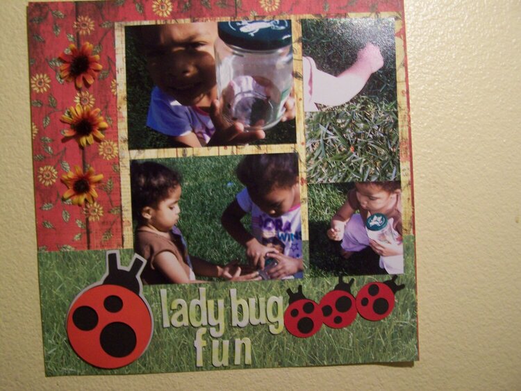 lady bug fun