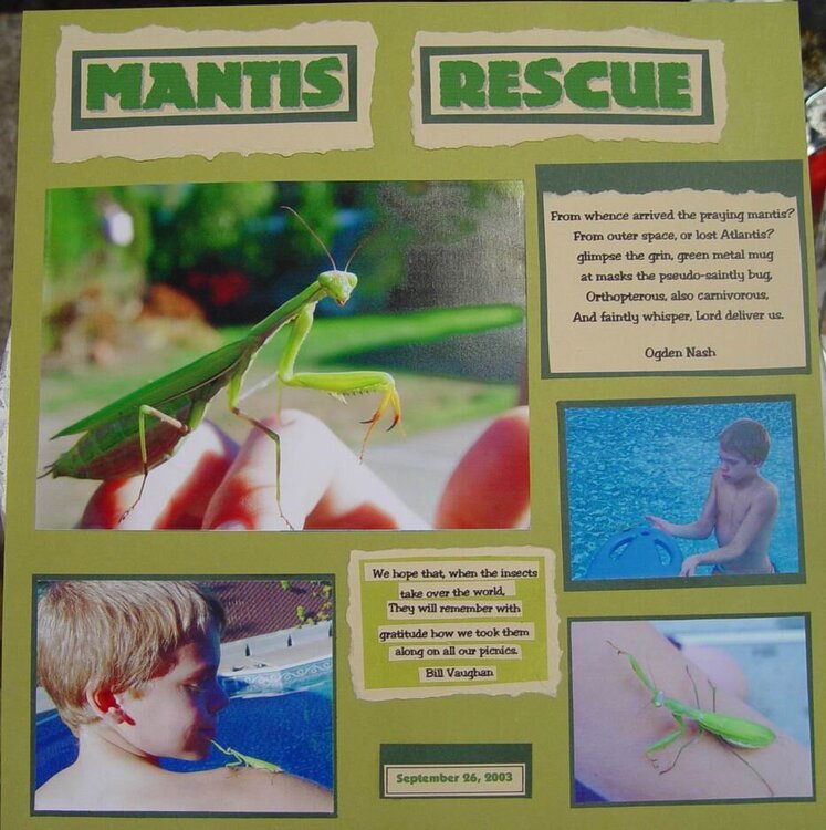 Praying Mantis Rescue Pg 1