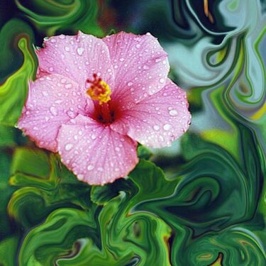 Pink Flower in a Sea of Green