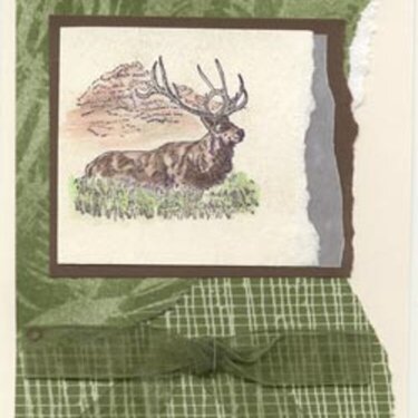 Elk Birthday Card