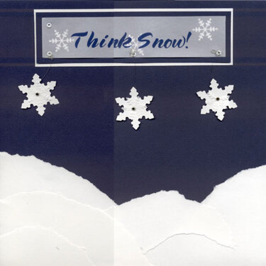 Think Snow! - Swap