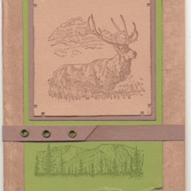 Wildlife Note card