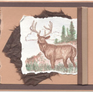 Deer Note Card