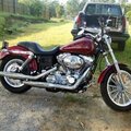 Ron's Harley 3