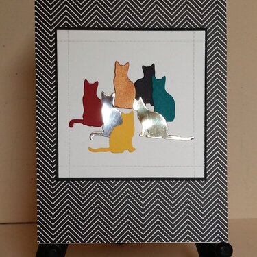 Impression Obsession Cats