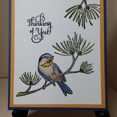 Martha Stewart Bird &amp; Watercolors