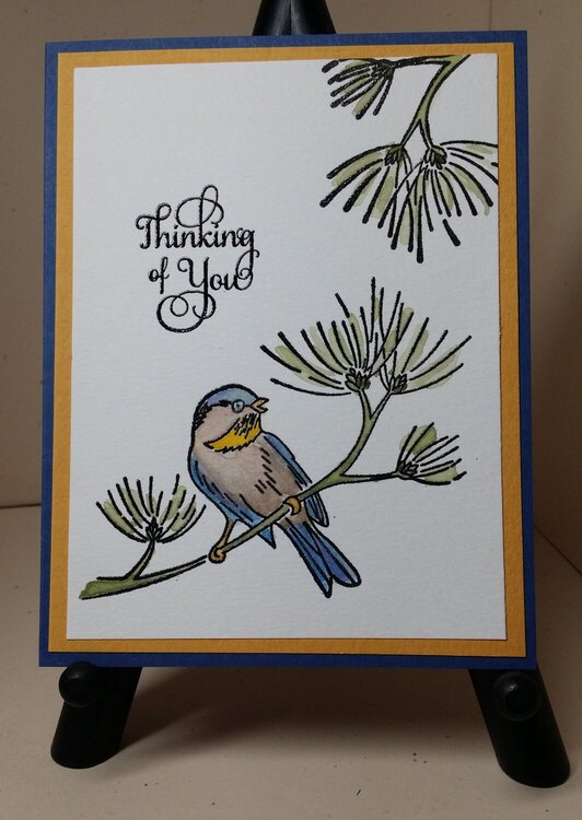 Martha Stewart Bird &amp; Watercolors