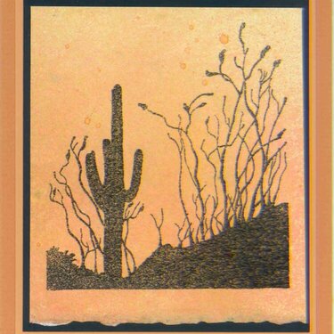 Desert Thank You Cards