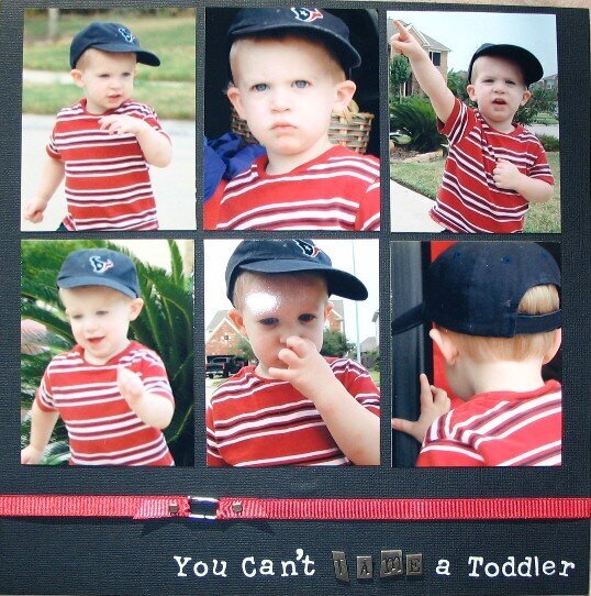 You Can&#039;t Tame a Toddler!
