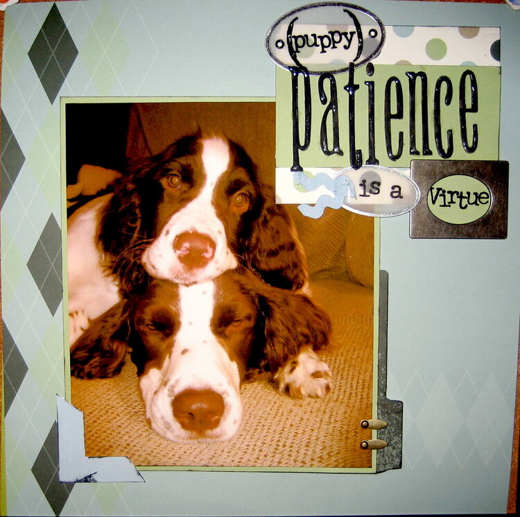 (puppy) patience is a virtue