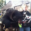 Lacey & 446 bear