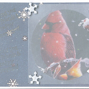 Cardinal Alterred Card