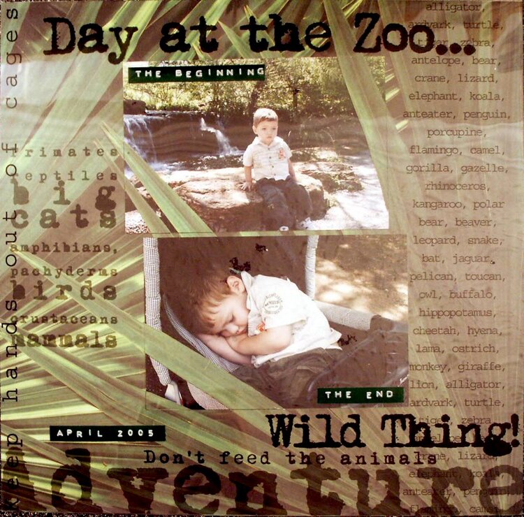 day_at_the_zoo
