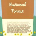 Nantahals National Forest