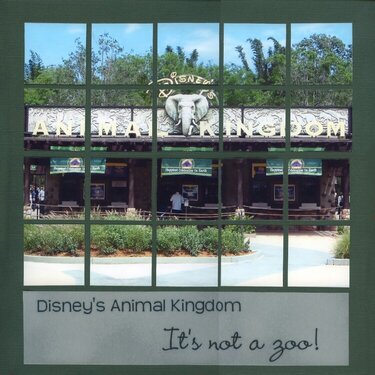 Animal Kingdom - Titlepage