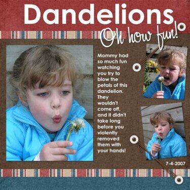 Dandelion delight